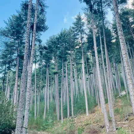 A Casetta * Albertacce