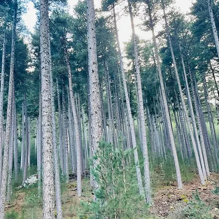 Apartament A Casetta