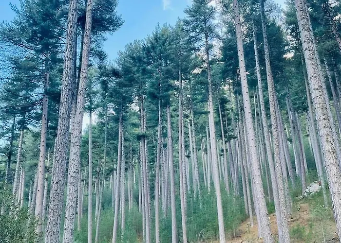 A Casetta * Albertacce